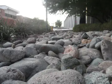 Low-angle view across a bed of large, smooth grey river rocks
